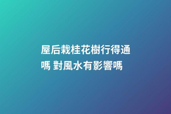 屋后栽桂花樹行得通嗎 對風水有影響嗎